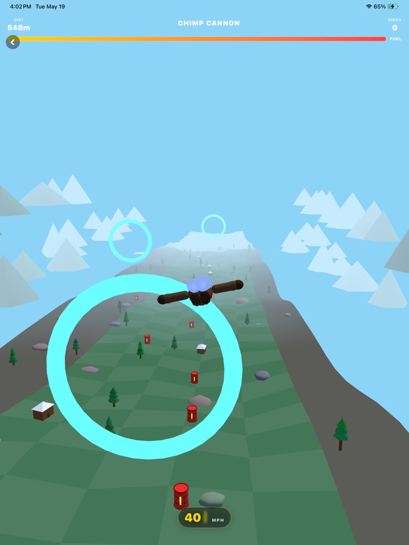Chimp Cannon mountain level with snow, trees, and rings